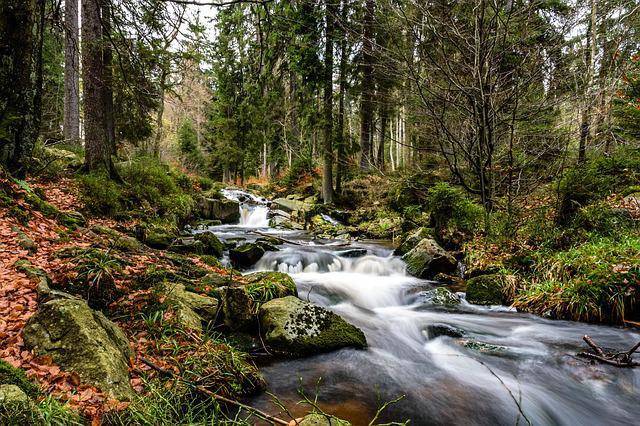Bildungsurlaub Angebote 2022 Wasserfall im Harz
